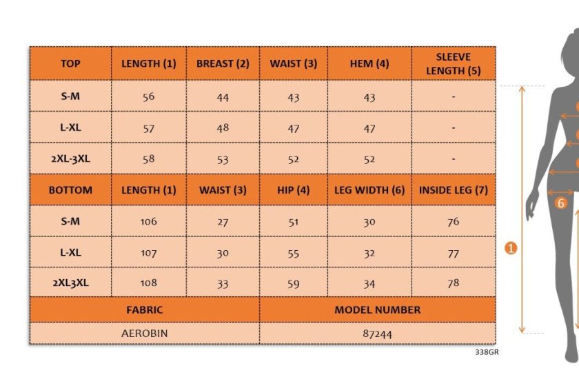 Women's Sleeveless V Neck Aerobin Blouse and Pants Two-Piece Set