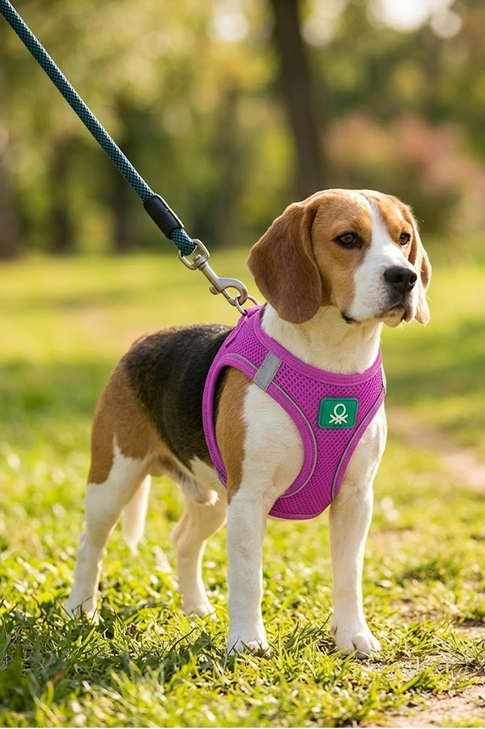 BNT-A2505 Hava Ağ Mor