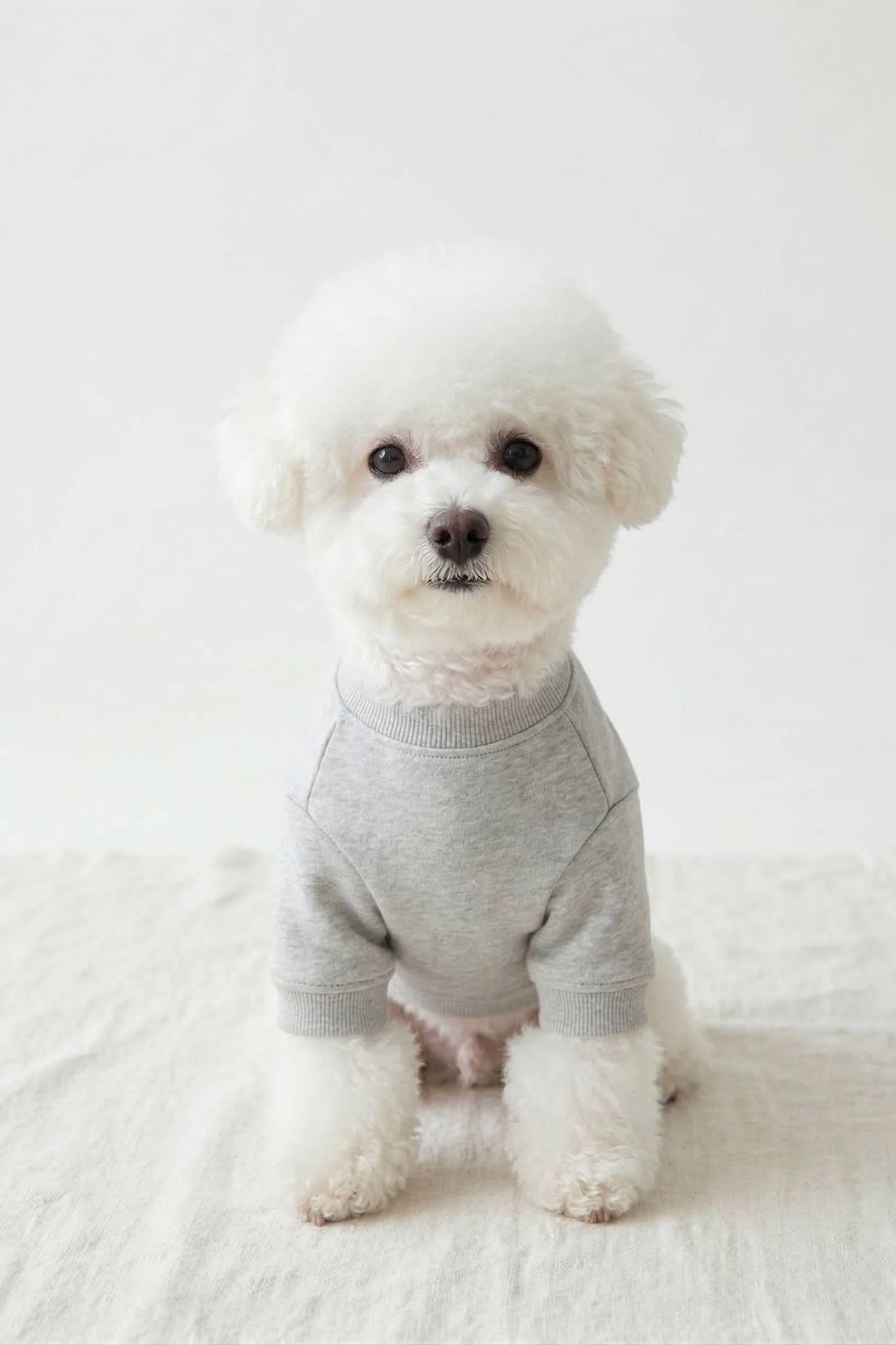 BNT-S2511 Sweatshirt AÇIK GRİ