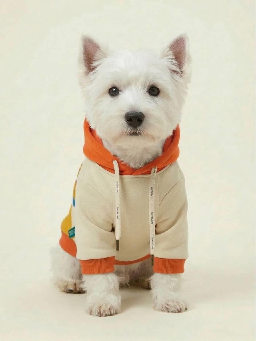 BNT-S2512 Kapişonlu Sweatshirt Lacivert