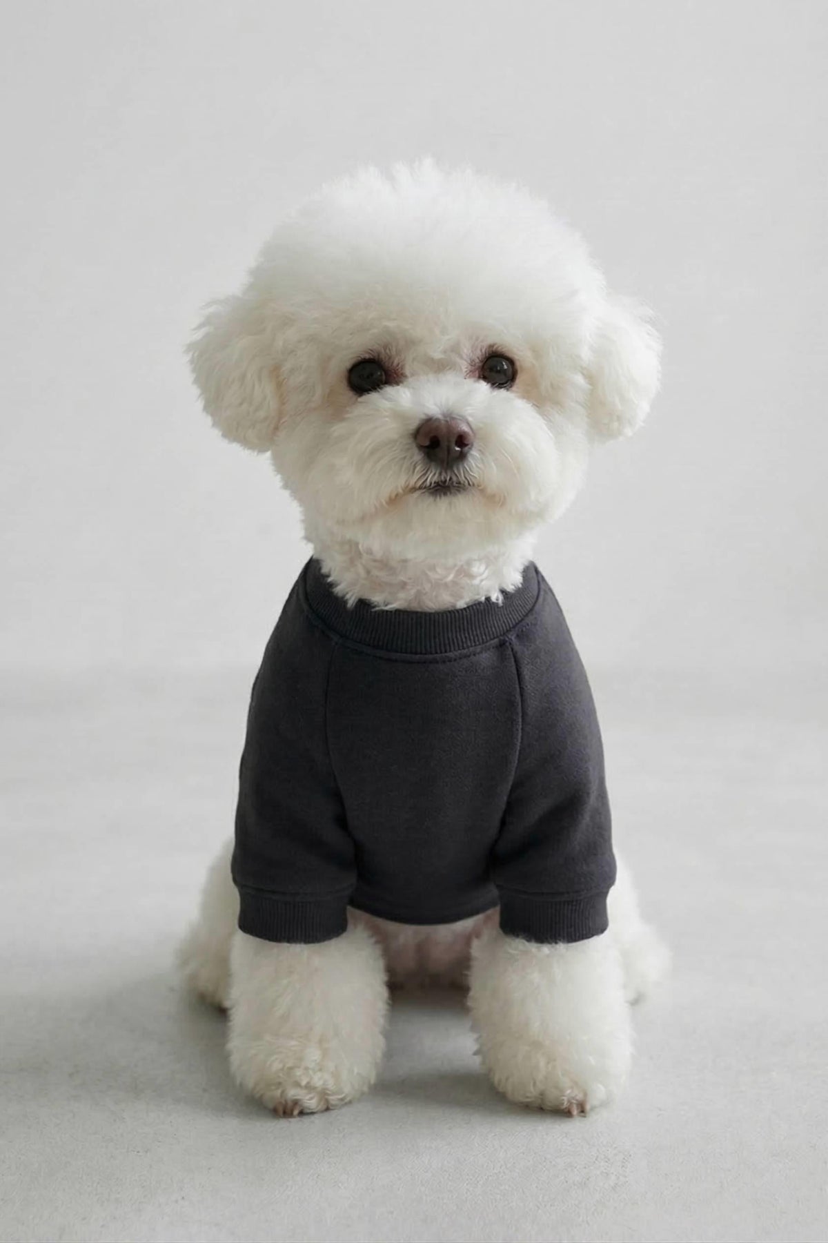 BNT-S2512 Sweatshirt Siyah