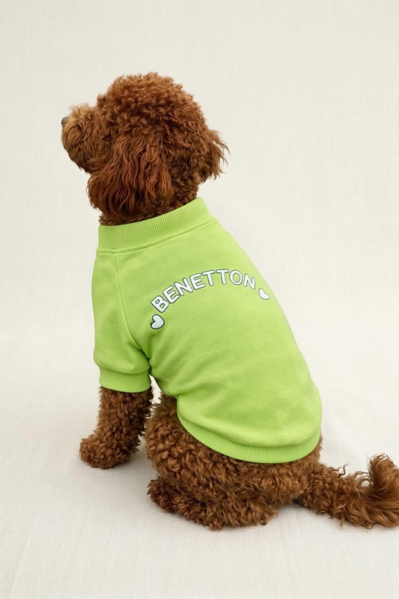 BNT-S2515 Sweatshirt Açık Yeşil