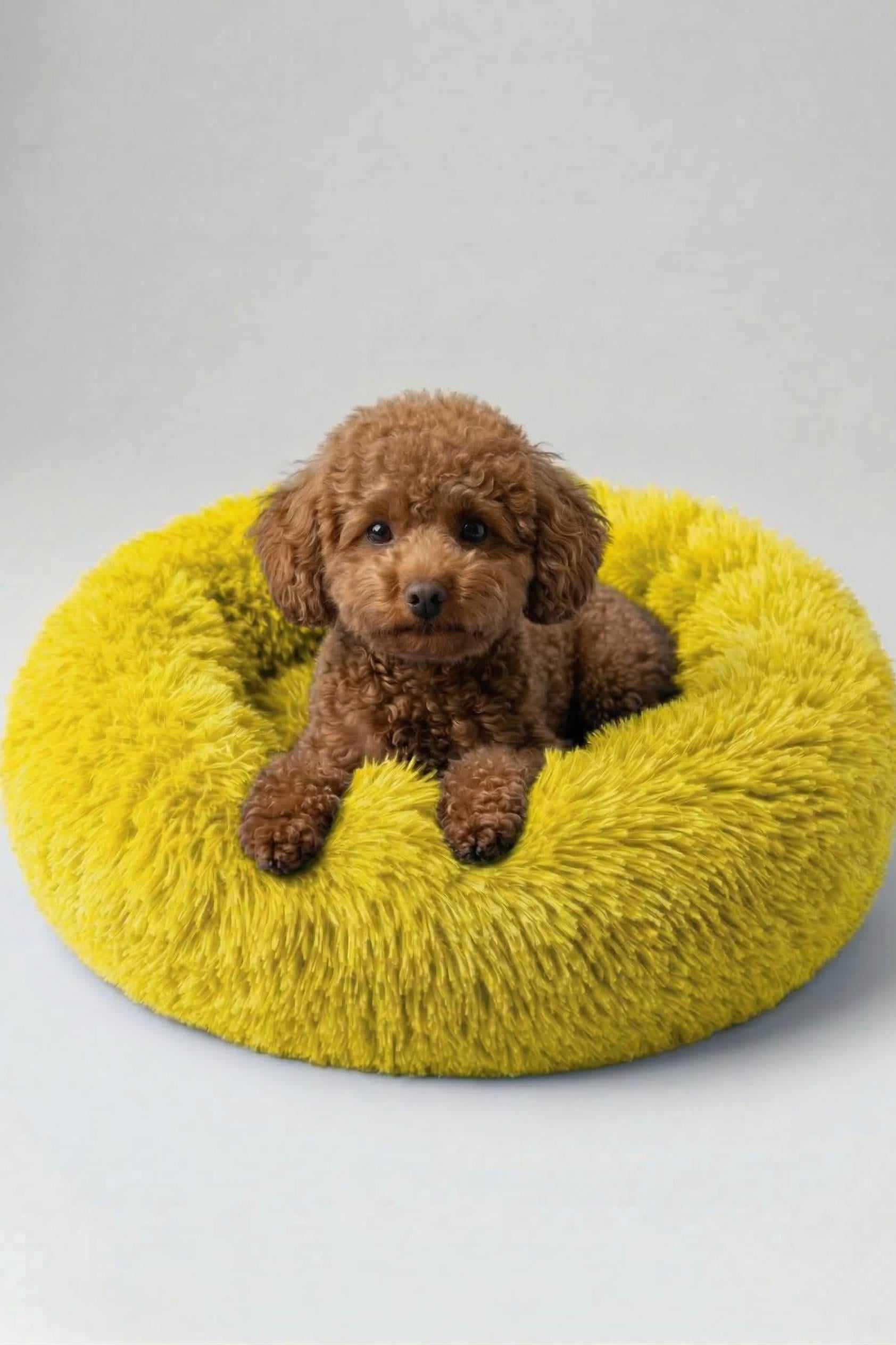 BNTMKT-0012-YE Uzun Kürklü Donut Kedi&Köpek Yatağı SARI 45 CM