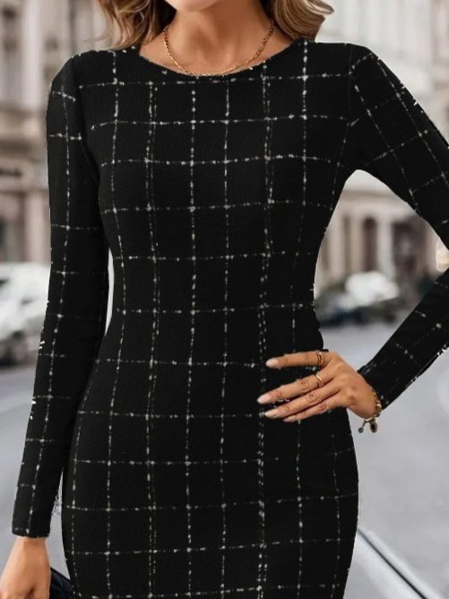 Women's Long Sleeve Round Neck Mini Woven Dress