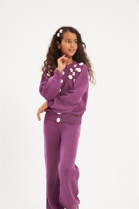 Kız Çocuk Çıtçıtlı Papatya İşlemeli Triko Hırka Renkli Triko Pantolon Saç Tokası 3'lü Takım Mor 4 Yaş