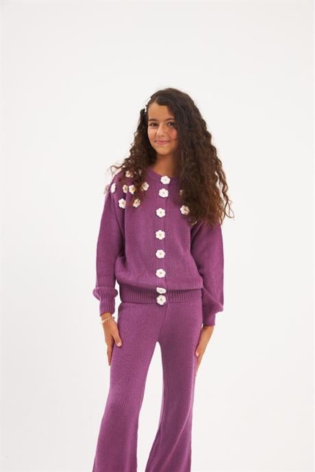 Kız Çocuk Çıtçıtlı Papatya İşlemeli Triko Hırka Renkli Triko Pantolon Saç Tokası 3'lü Takım Mor 4 Yaş