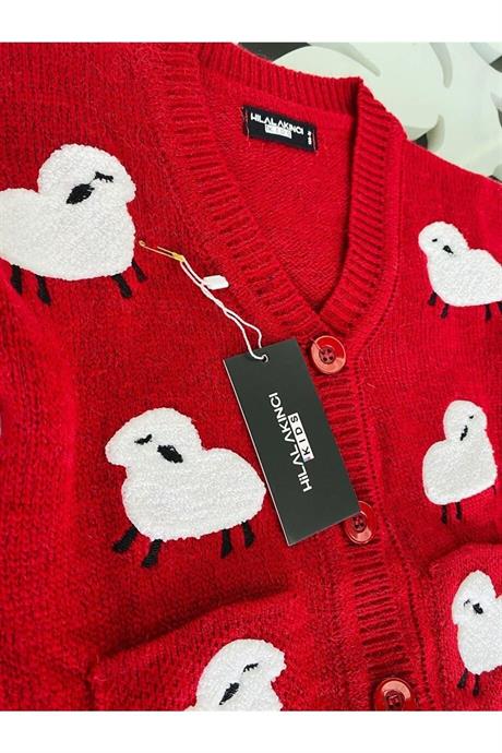 Kız Çocuk Kuzu Nakışlı Triko Hırka Geniş Paça Triko Pantolon KIRMIZI 12 Yaş