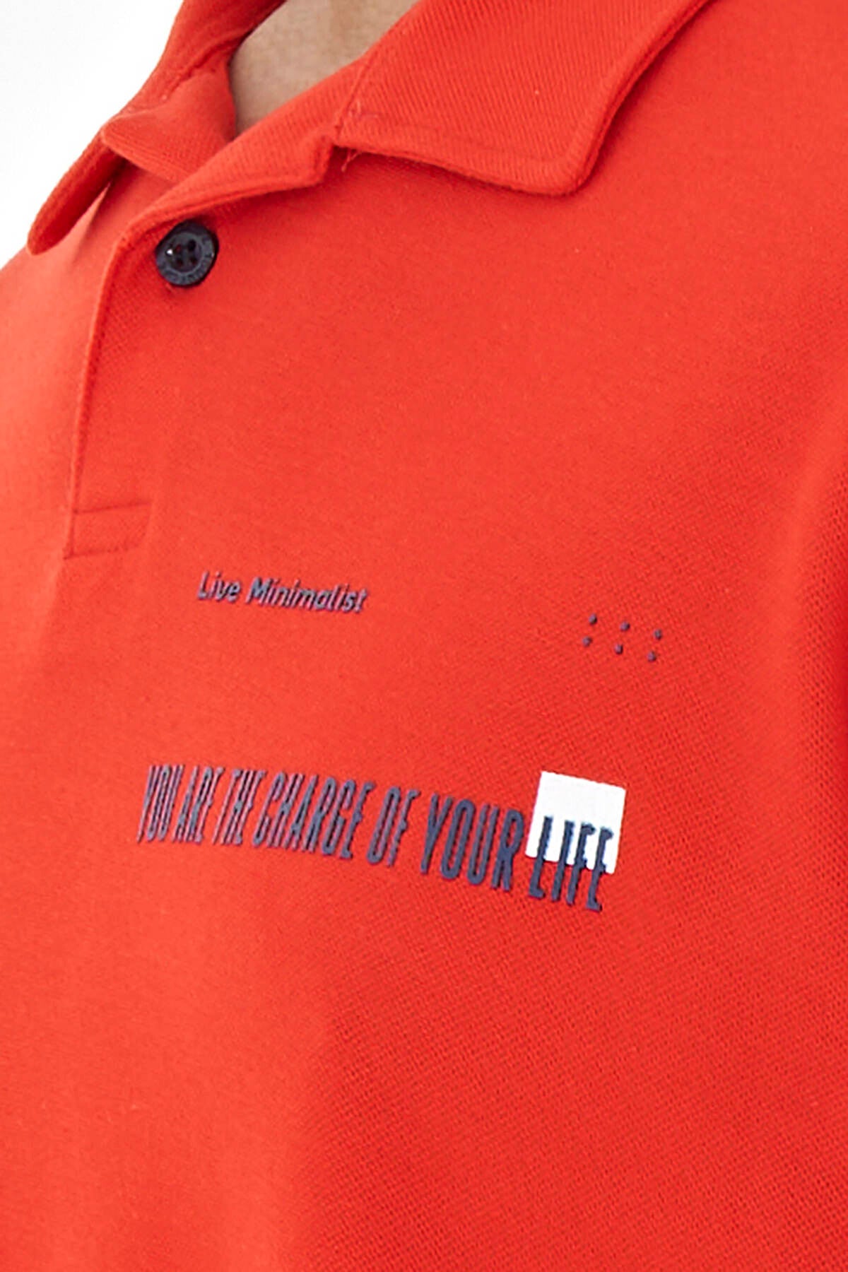 Fiesta Yazı Baskılı Standart Form Polo Yaka Erkek T-shirt - 88236