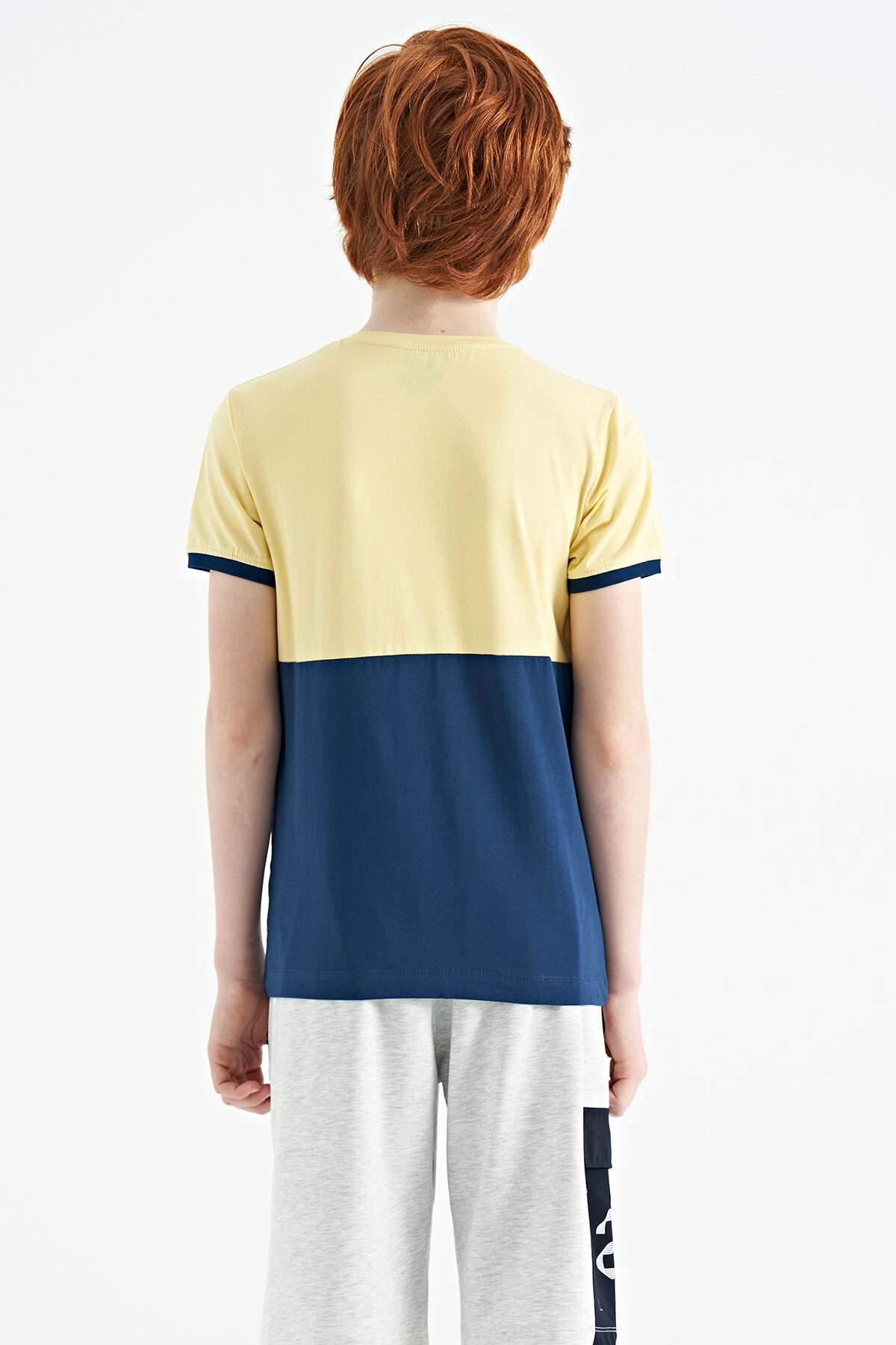 Sarı Baskı Detaylı Renk Bloklu Standart Kalıp O Yaka Erkek Çocuk T-Shirt - 11107