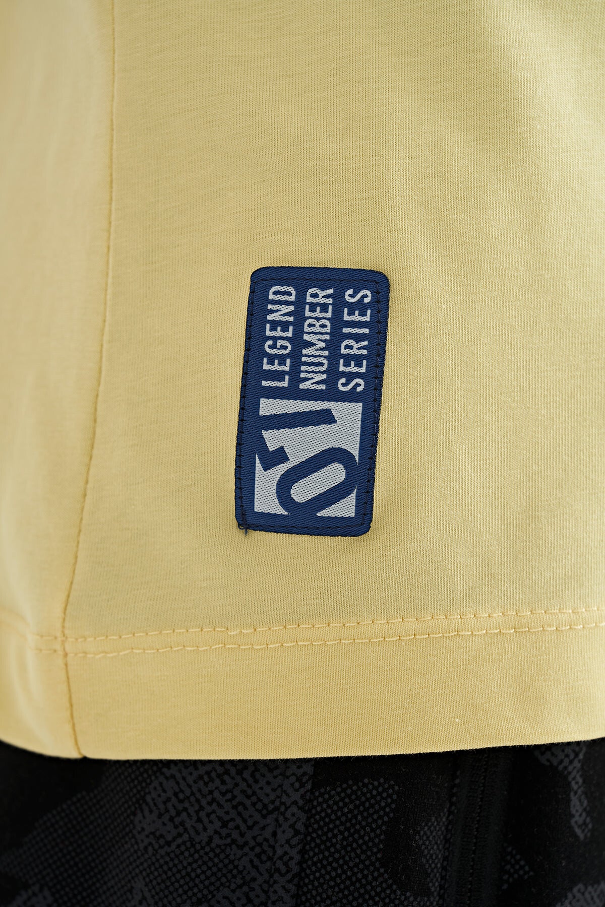 Sarı Baskı Detaylı Standart Kalıp O Yaka Erkek Çocuk T-Shirt - 11133