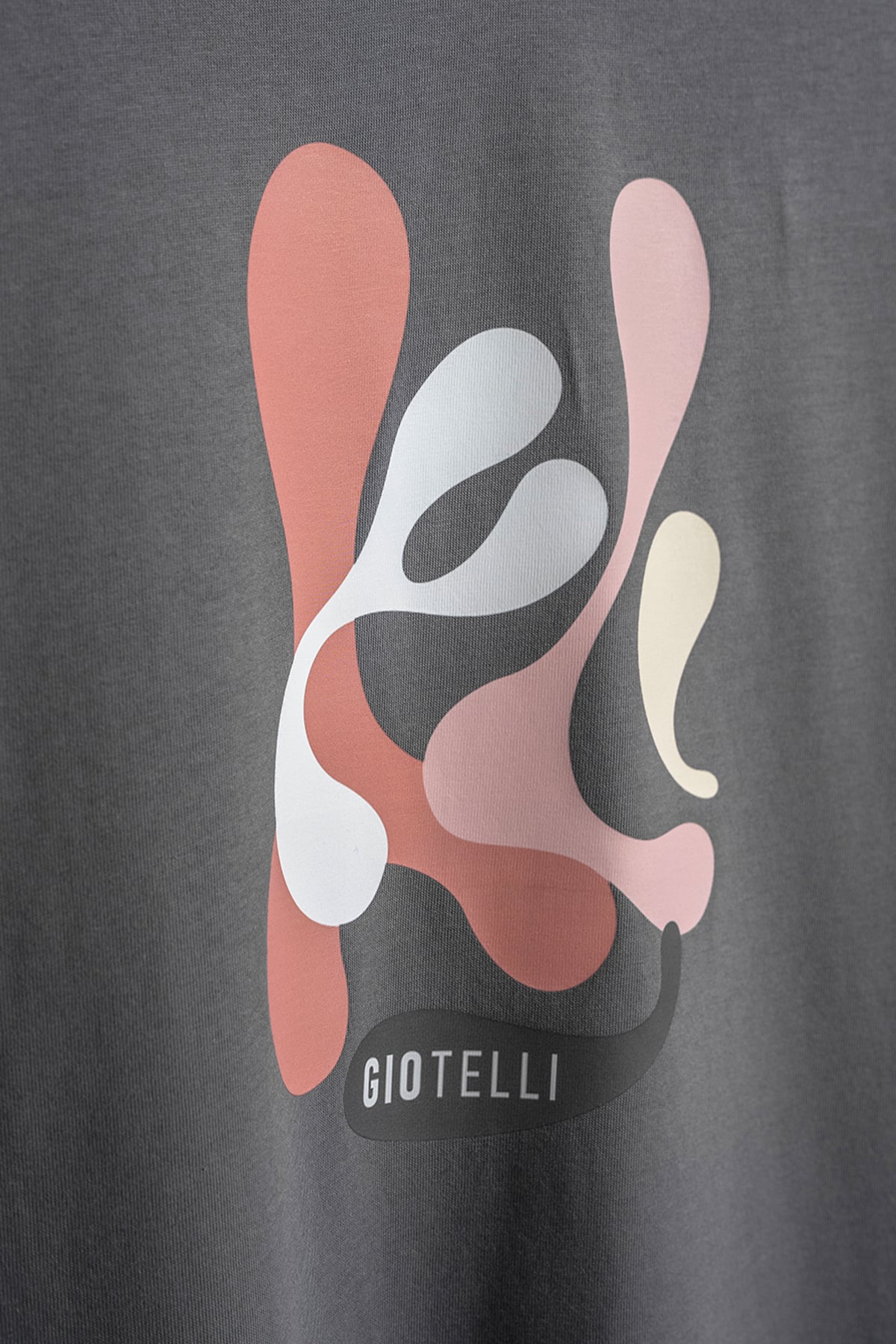 Giotelli Erkek Antrasit Normal Kesim Regular Fit Baskılı Bisiklet Yaka Tişört