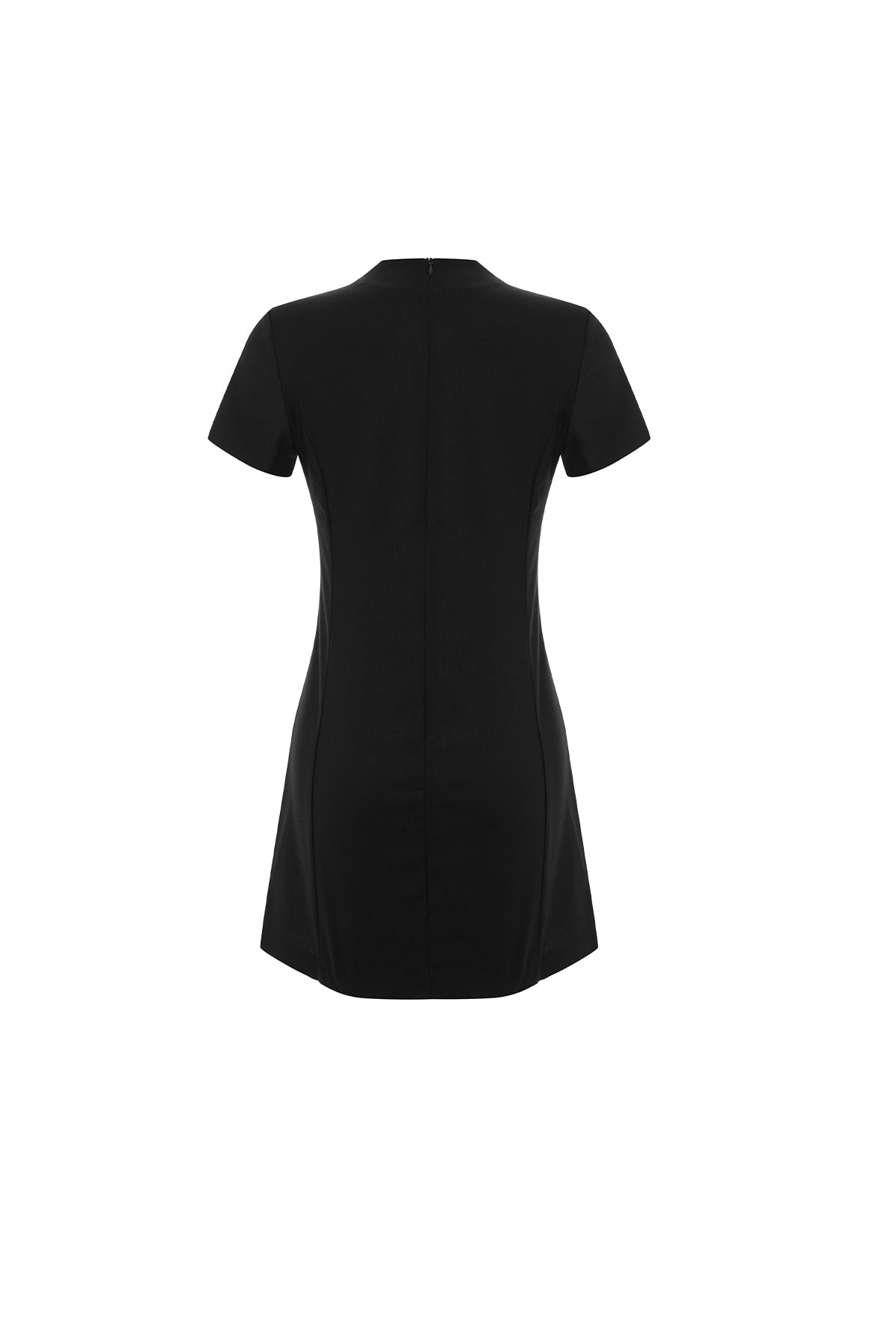 Siyah Tiya Mini Elbise ATE-2100