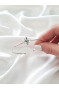 SILVER-OCAK