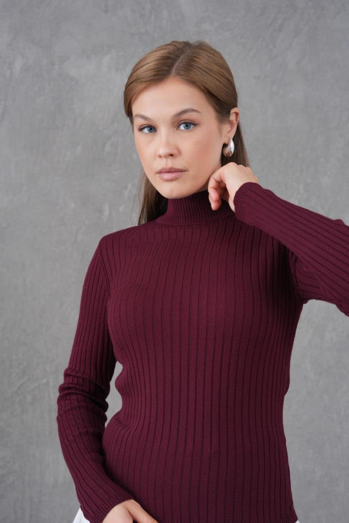15861-Yarım Balıkçı Yaka Esnek Triko Body
