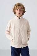 Beige Thick Soft Textured Standard Fit Embroidered Fleece Boys' Sweatshirt - 11223