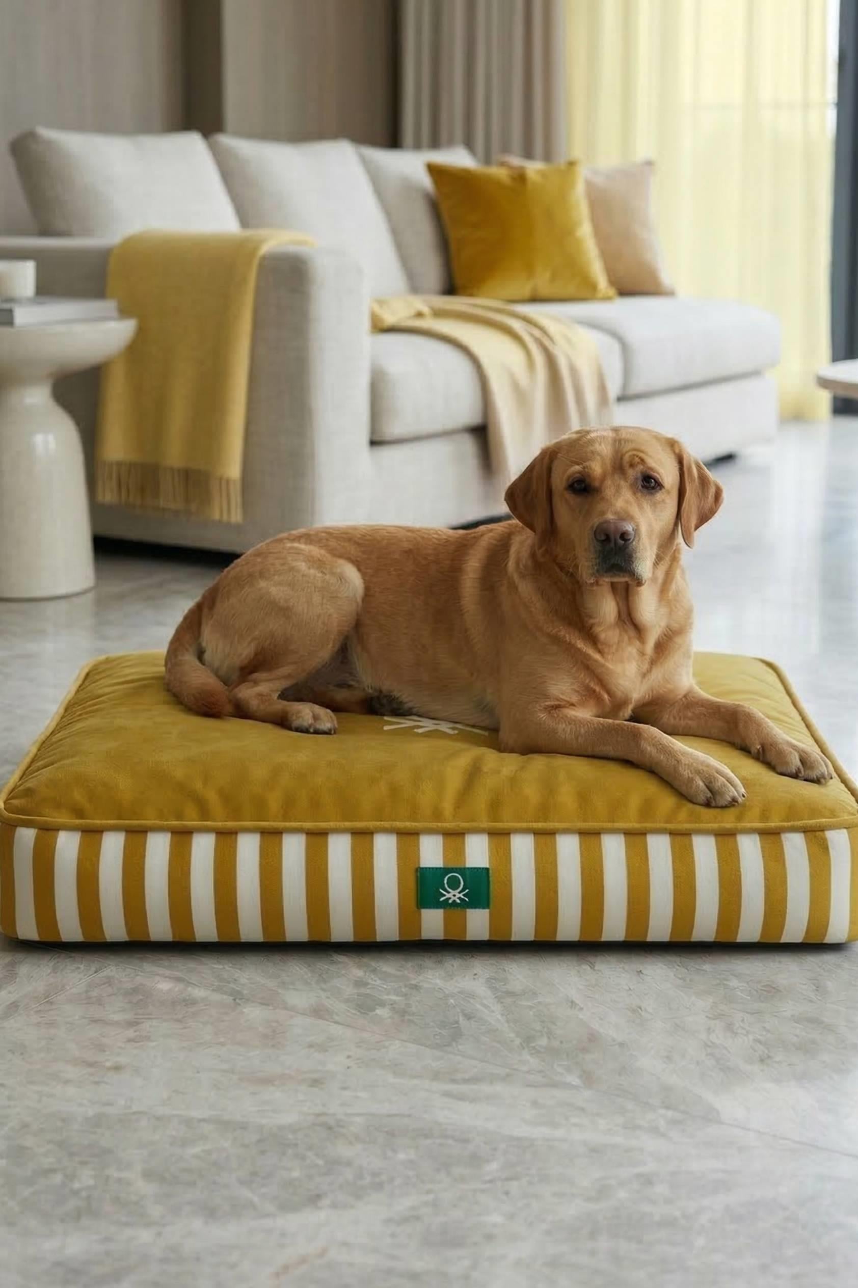 BNT-B2504-A Kedi & Köpek Yatağı  Sarı Çizgili 60 x 40 cm