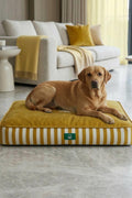BNT-B2504-D Kedi & Köpek Yatağı  Sarı Çizgili 100 x70cm