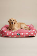 BNT-B2511-C Kedi & Köpek Yatağı  PUANTİYELİ PEMBE 80x65 cm