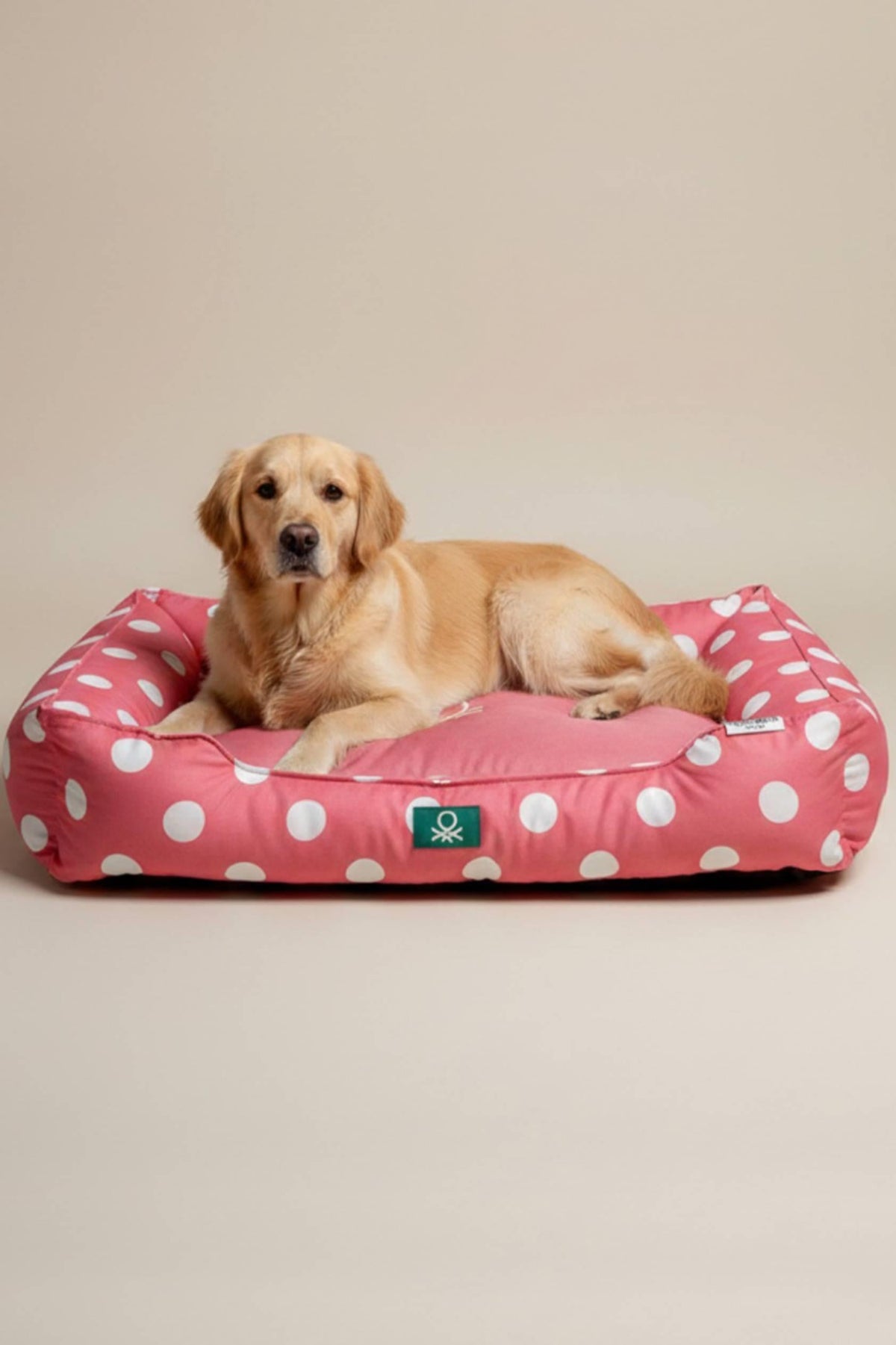 BNT-B2511-C Kedi & Köpek Yatağı  PUANTİYELİ PEMBE 80x65 cm