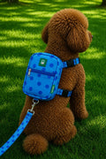 BNT-GCT-A WALKING-BAG-LEASH NAVY BLUE
