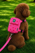BNT-GCT-B WALKING BAG-LEASH RED