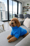 BNT-J2503 Jacket Blue