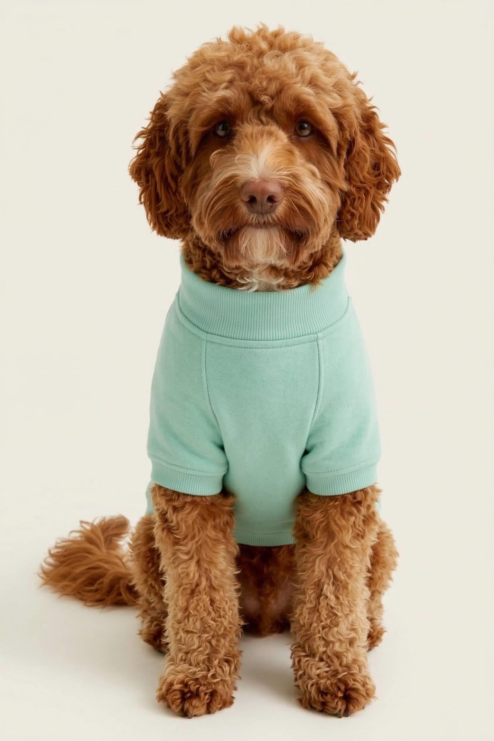 BNT-S2507 Sweatshirt Turkuaz