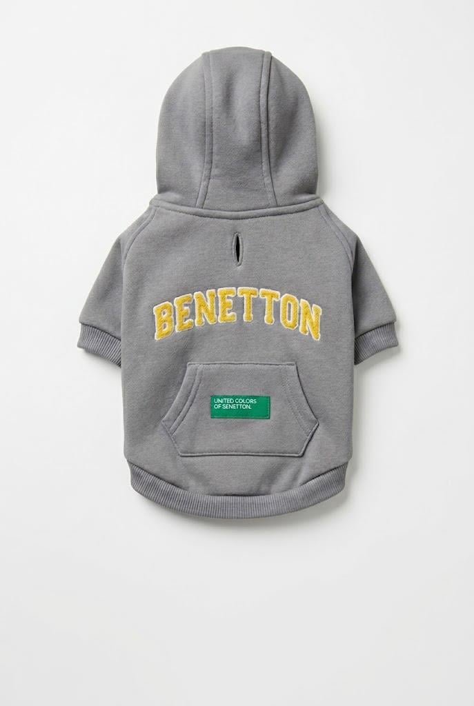 BNT-S2508 Kapişonlu Sweatshirt GRİ