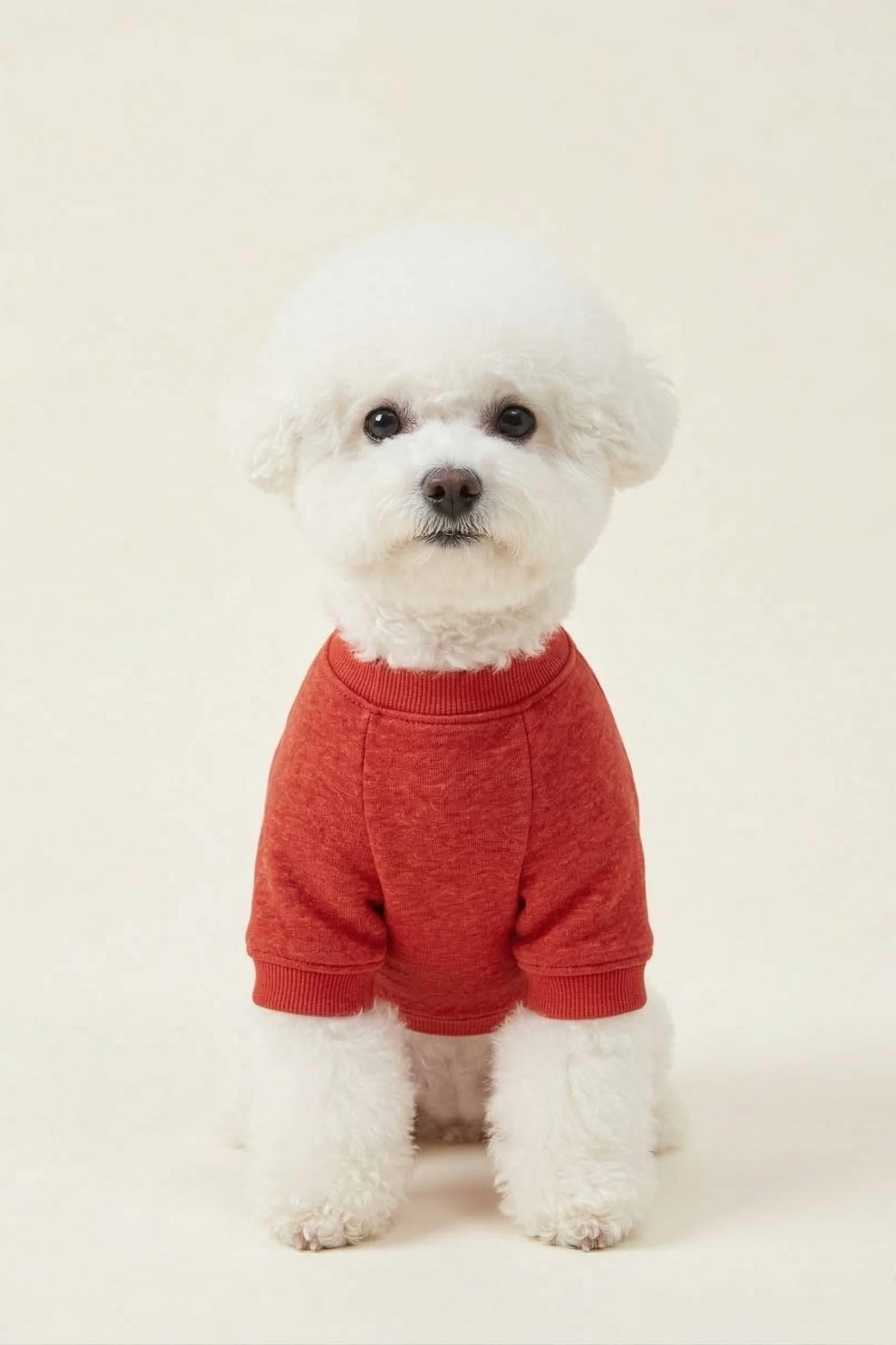 BNT-S2510 Sweatshirt Kırmızı