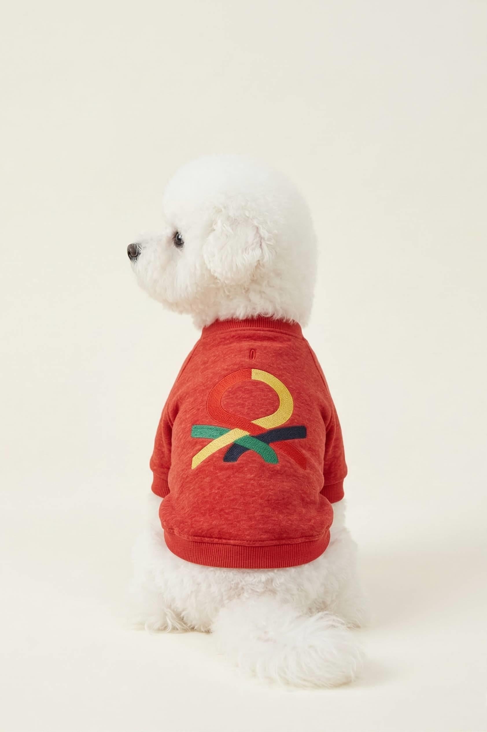 BNT-S2510 Sweatshirt Kırmızı