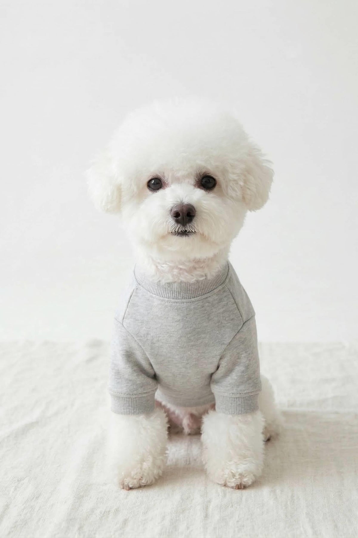 BNT-S2511 Sweatshirt AÇIK GRİ