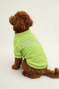 BNT-S2515 Sweatshirt Açık Yeşil