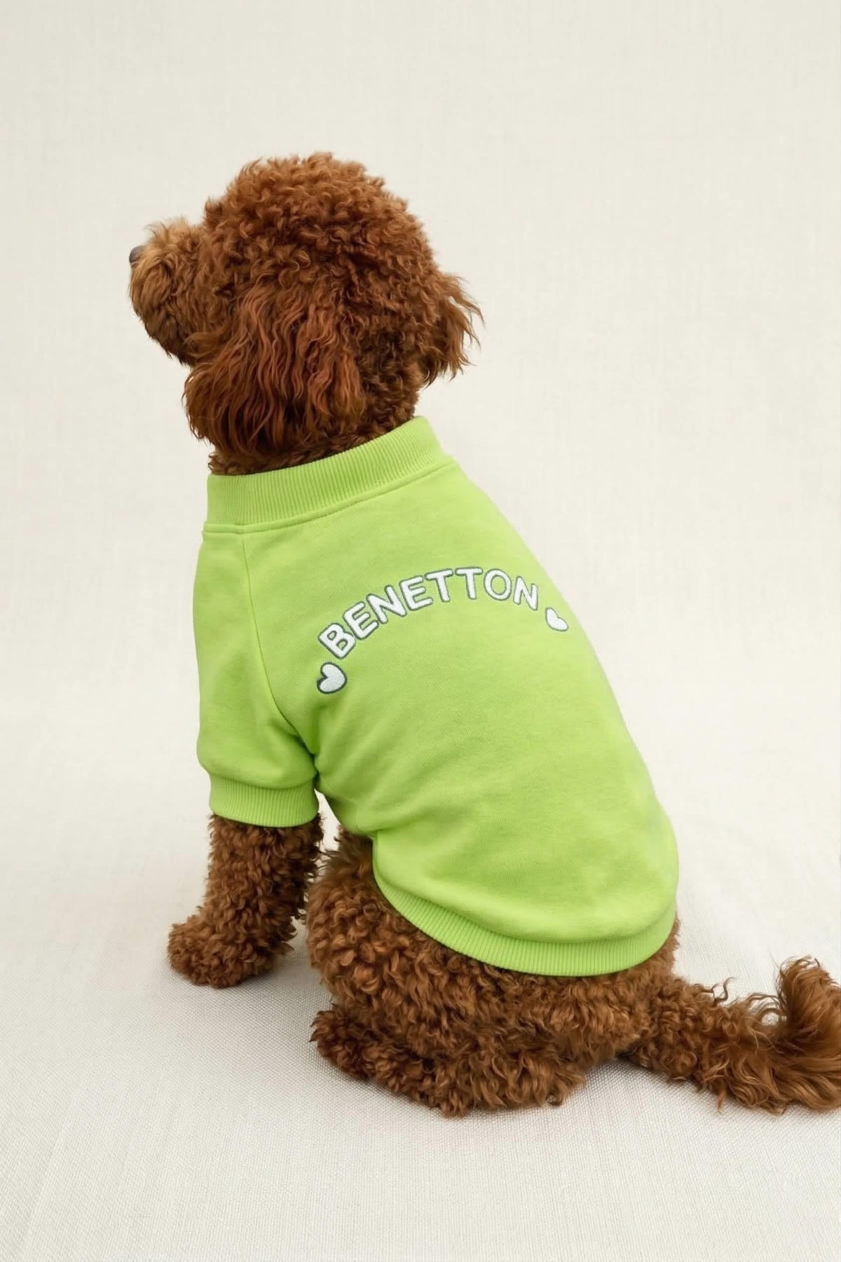 BNT-S2515 Sweatshirt Açık Yeşil