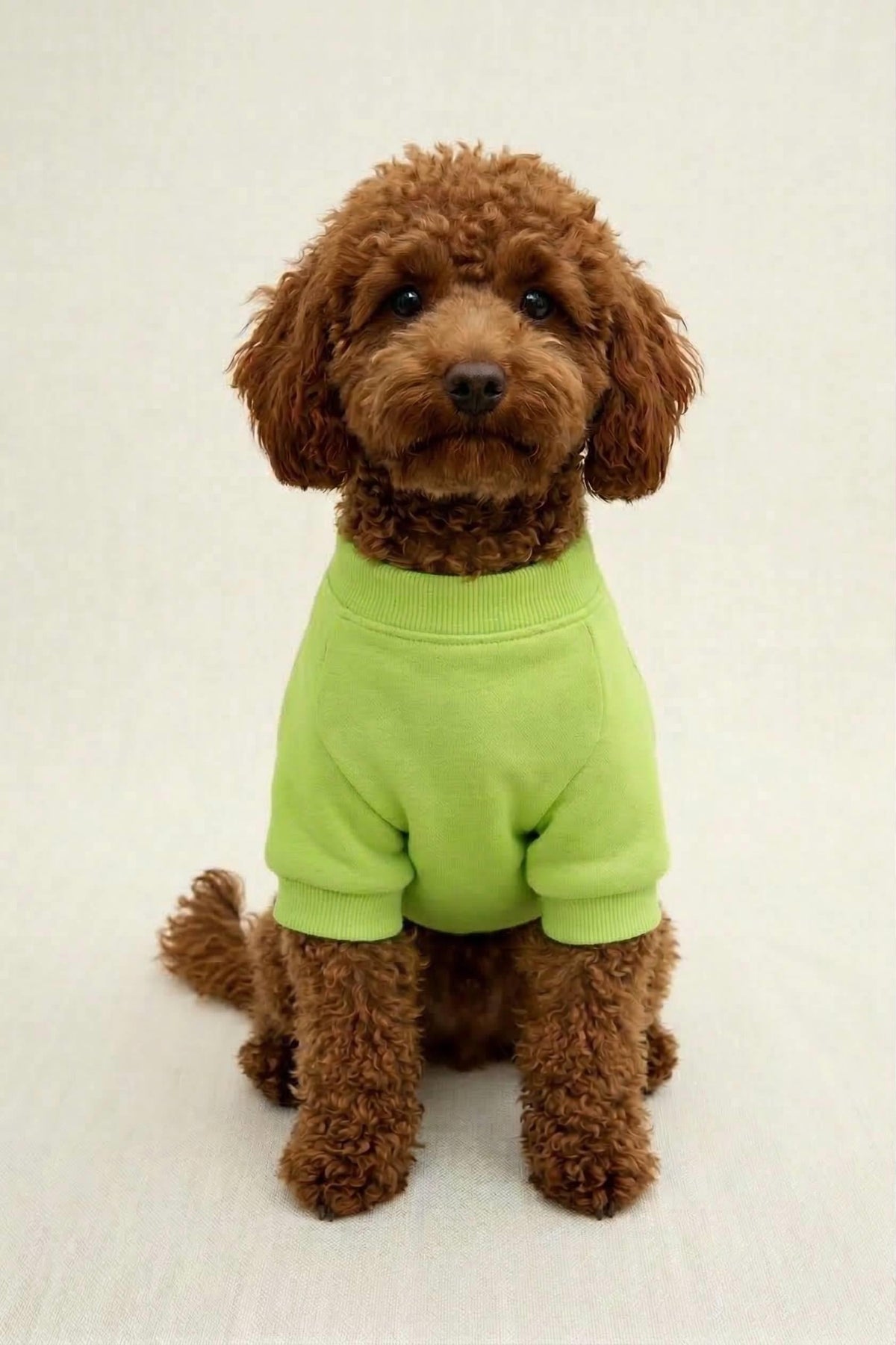 BNT-S2515 Sweatshirt Açık Yeşil