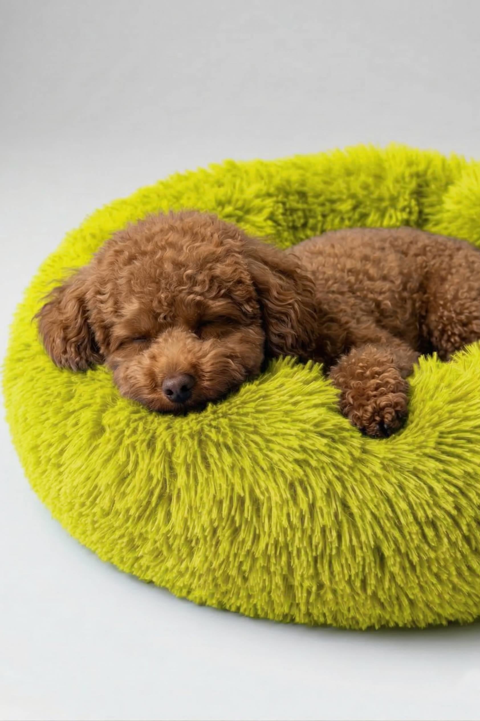 BNTMKT-0012-2-YE Uzun Kürklü Donut Kedi&Köpek Yatağı SARI 55 CM