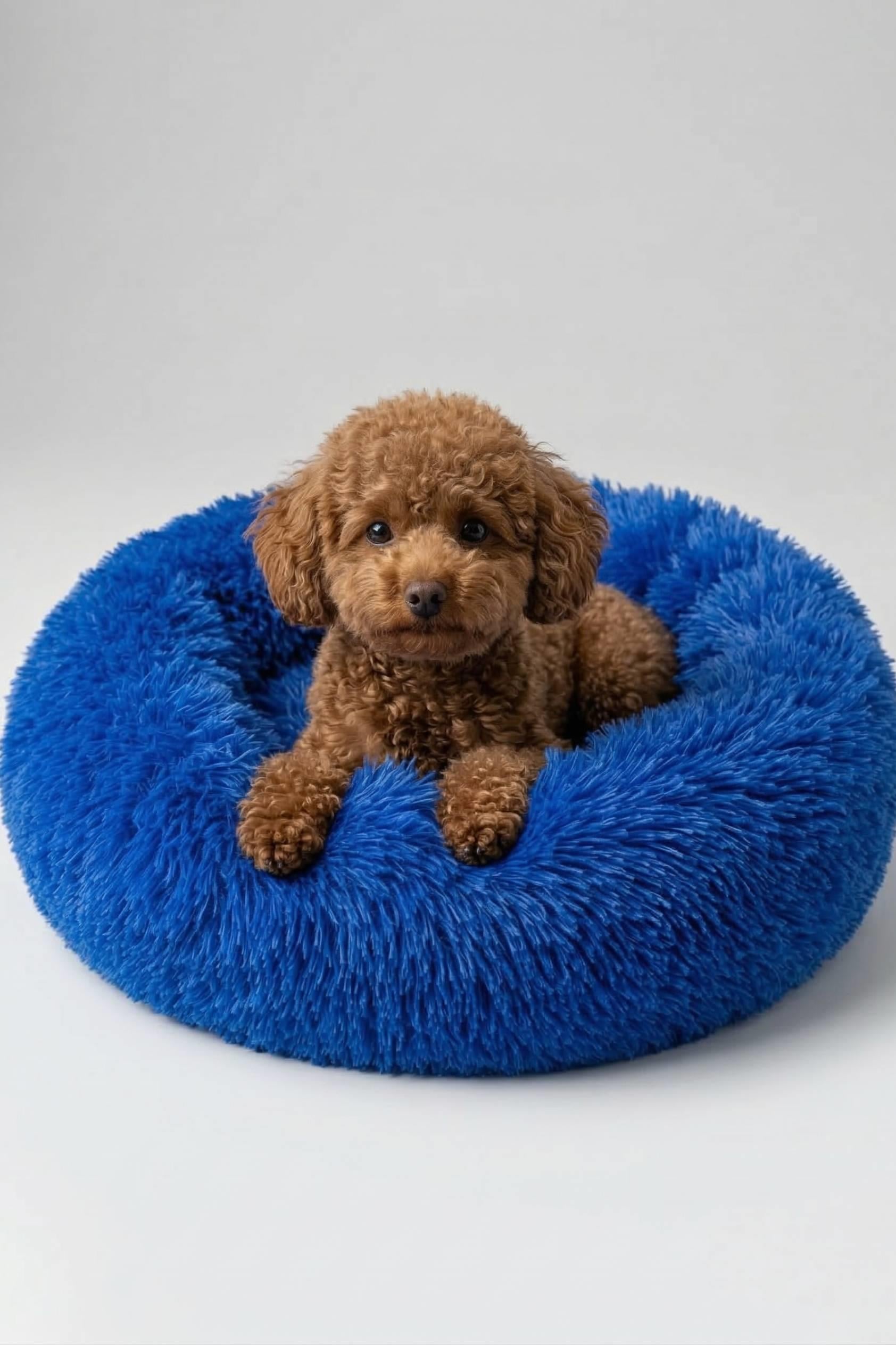 BNTMKT-0012-BL Uzun Kürklü Donut Kedi&Köpek Yatağı Mavi 45 CM