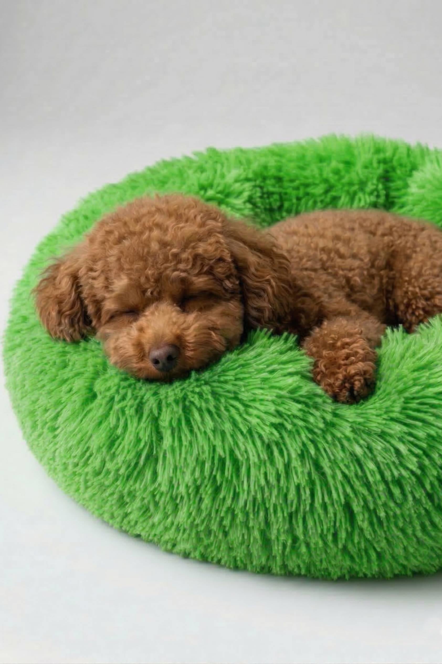 BNTMKT-0012-GR Uzun Kürklü Donut Kedi&Köpek Yatağı Yeşil 45 CM