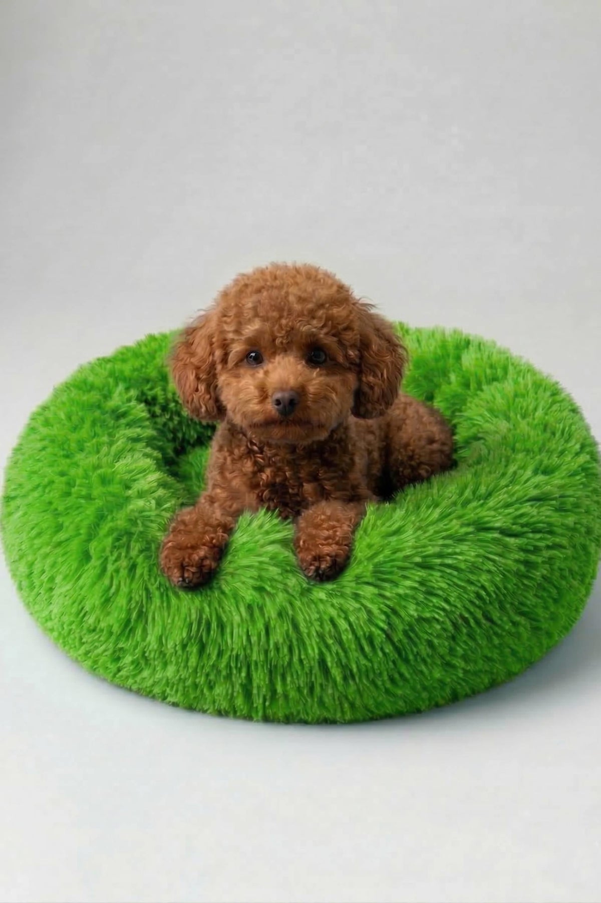 BNTMKT-0012-GR Uzun Kürklü Donut Kedi&Köpek Yatağı Yeşil 45 CM