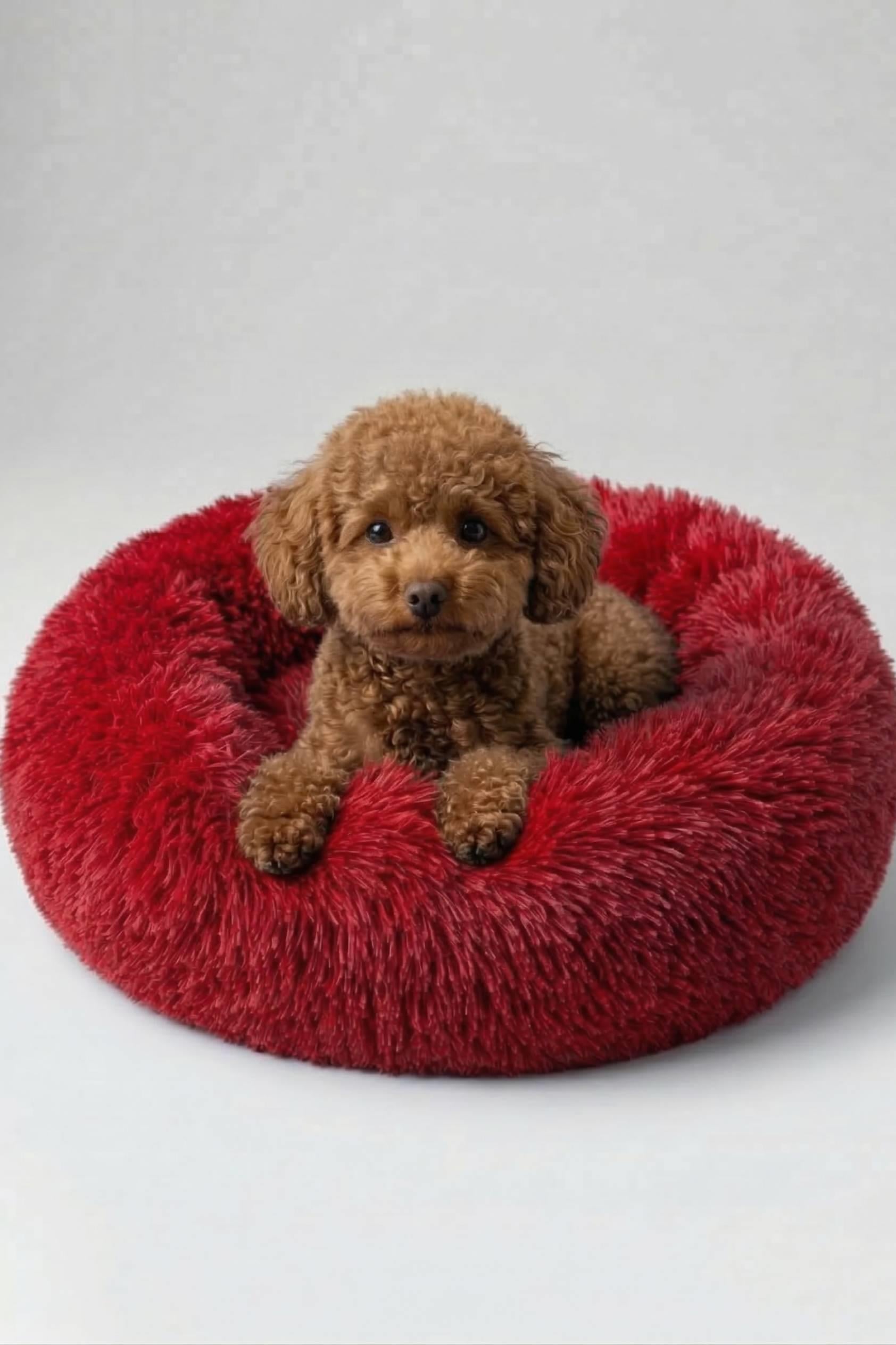 BNTMKT-0012-RD Uzun Kürklü Donut Kedi&Köpek Yatağı Kırmızı 55 CM