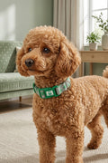 BNTMKT-0028-DB-1 Knitted Cat & Dog Collar 1.5x26-40 cm