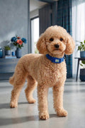 BNTMKT-0029-BL Knitted Cat & Dog Collar Blue 2x32-50 cm