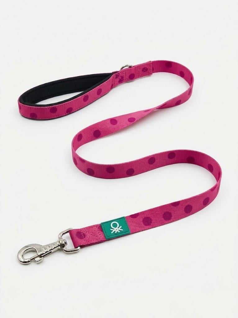 BNTMKT-0040-DS-2 Kedi &Köpek Ağ Tasma  mix 1,5x120cm