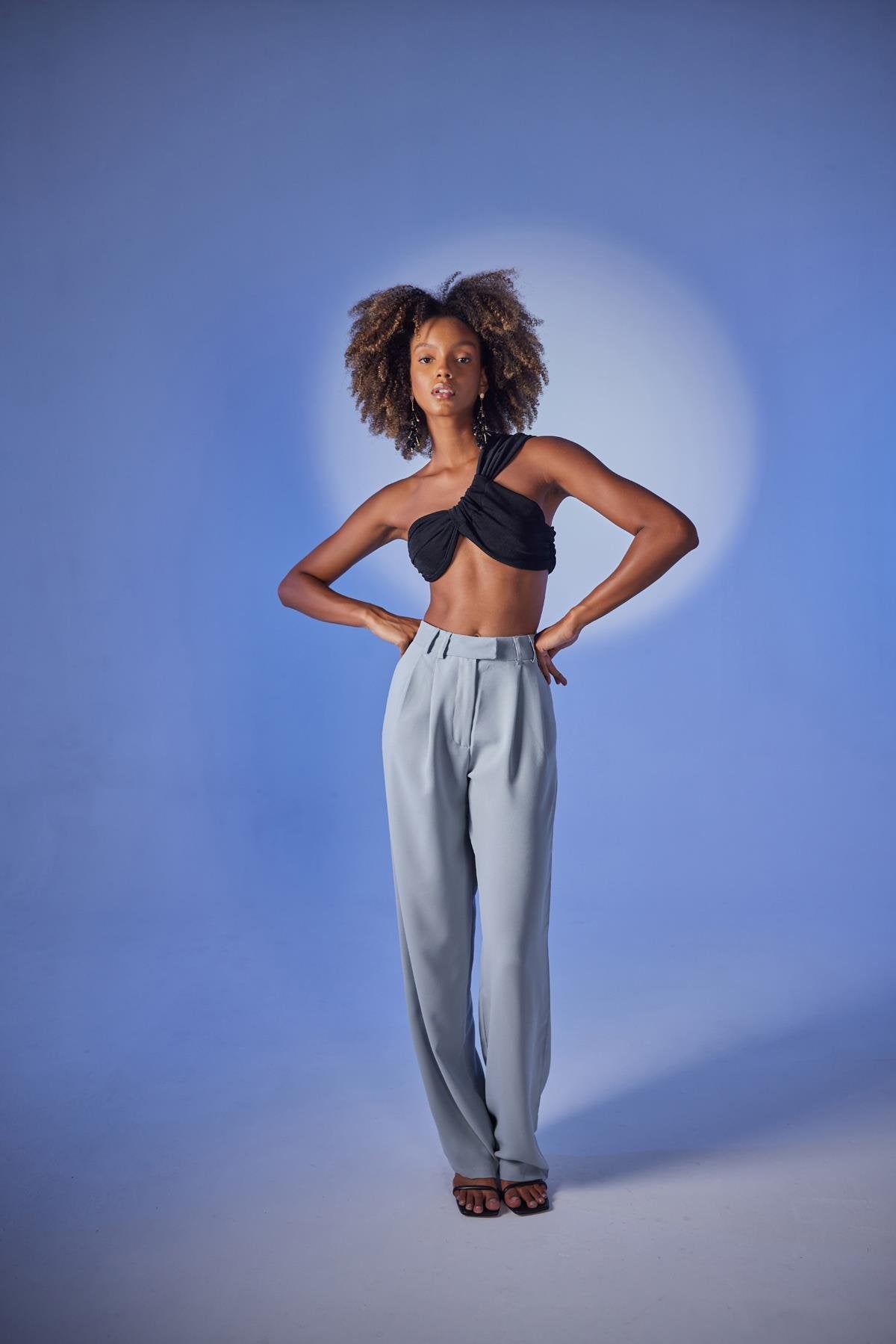 Palazzo Kesim Yüksek Bel Palasia Pantolon Gri