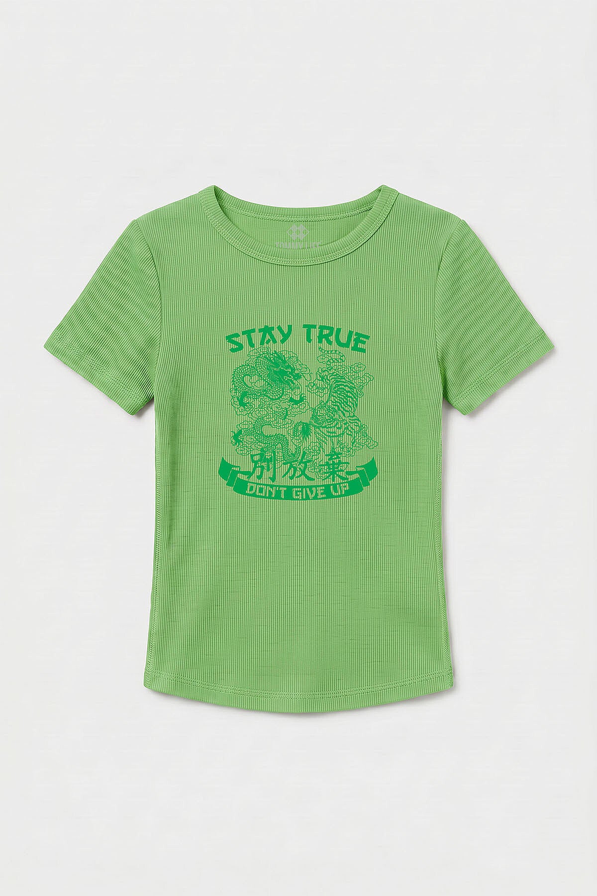 Fıstık Yeşili Standart Fit Baskılı Kısa Kollu Kadın T-Shirt - 97201