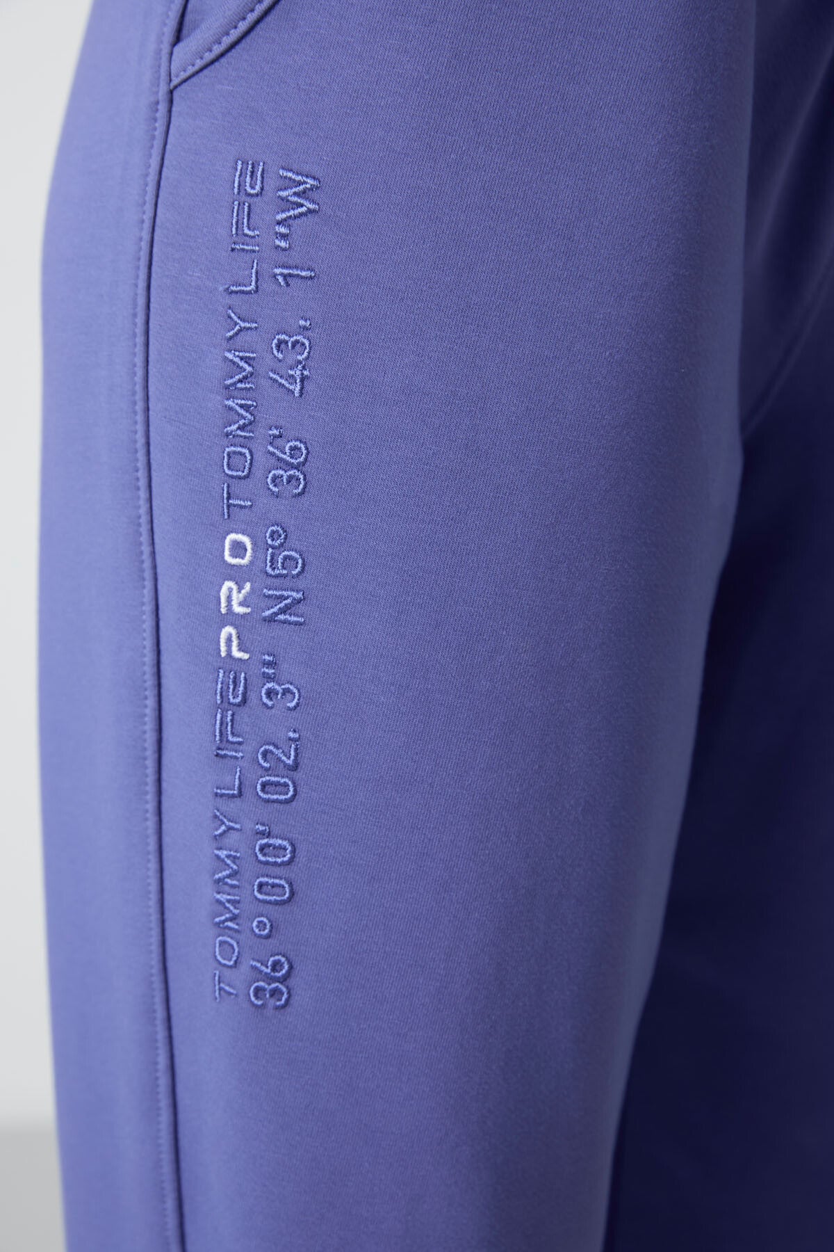 Eflatun Kapüşonlu Kanguru Cep Oversize Lastik Paça Kadın Eşofman Takımı - 95288